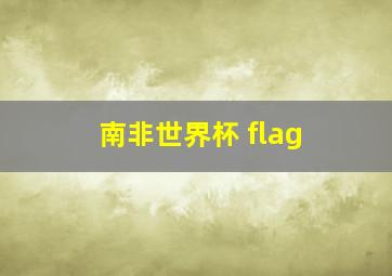 南非世界杯 flag